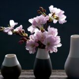 桜の美しい季節に感じる幸せ